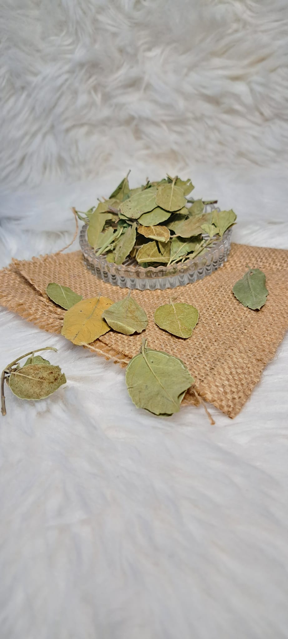 🌱 100 % naturreine, getrocknete Sidr-Blätter – ohne Zusatzstoffe. SKU: M55513931