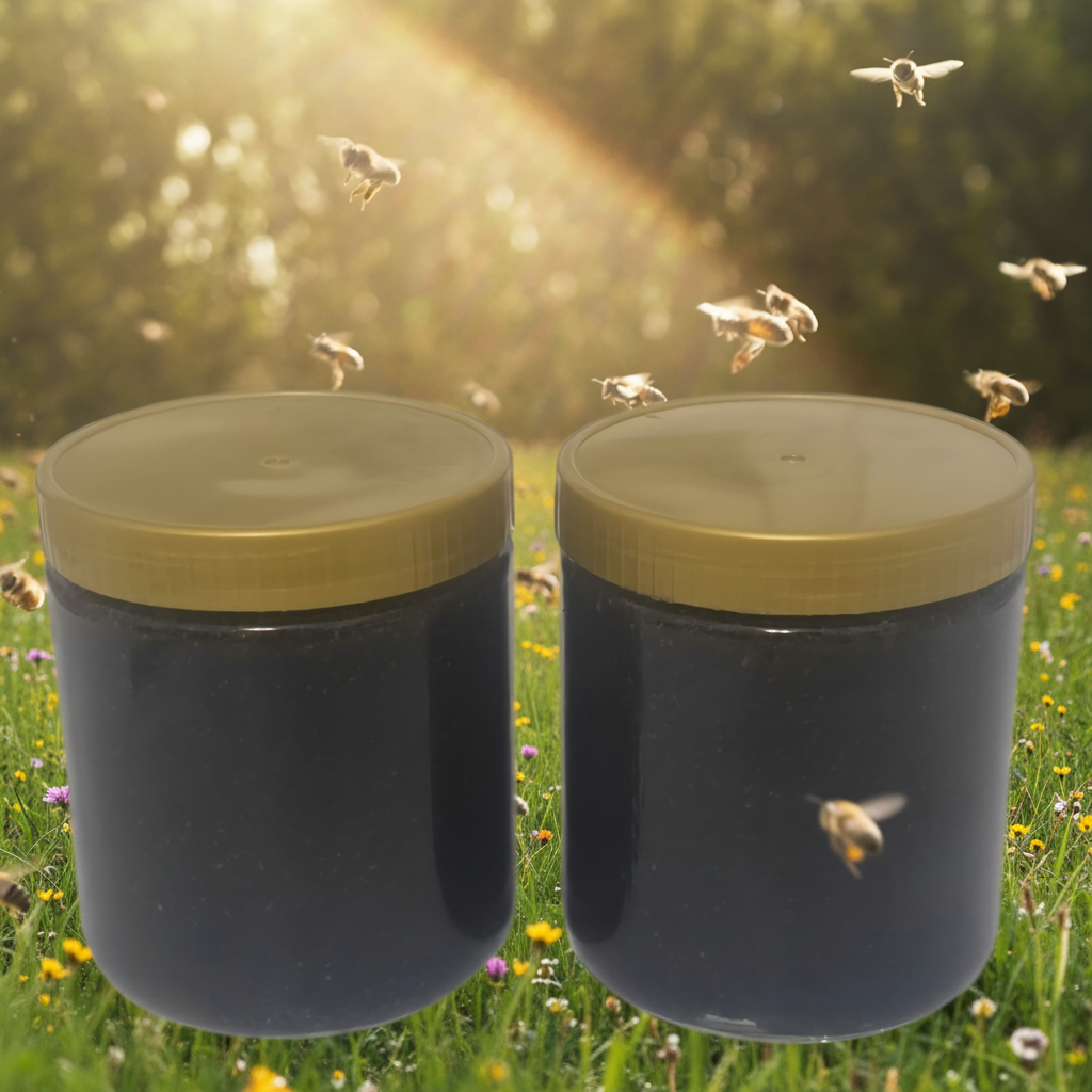Honig - Schwarzkümmelpulver 25g pulver mit 475g Waldhonig Naturreine Kombination
