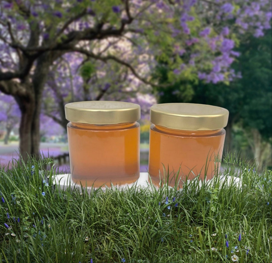 Lindenhonig aus Bayern naturbelassen 2 mal 500g Angebot