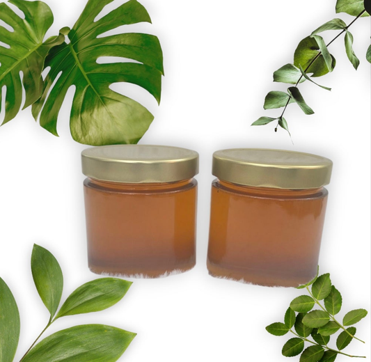 Frühblütenhonig-Der erste Honig des Jahres naturbelassen 2 mal 500g Angebot