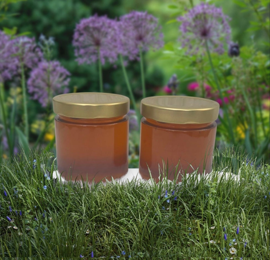 Hartriegel-Honig naturbelassen 2 mal 500g Angebot