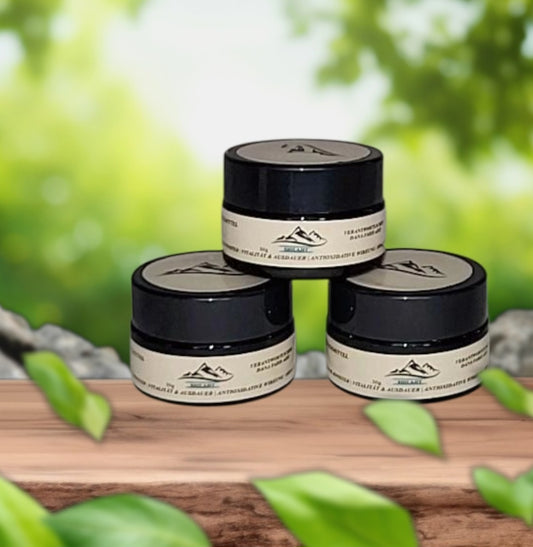 🌿 Reines Bio Shilajit aus Pakistan – 100 % Naturkraft der Berge (30g)