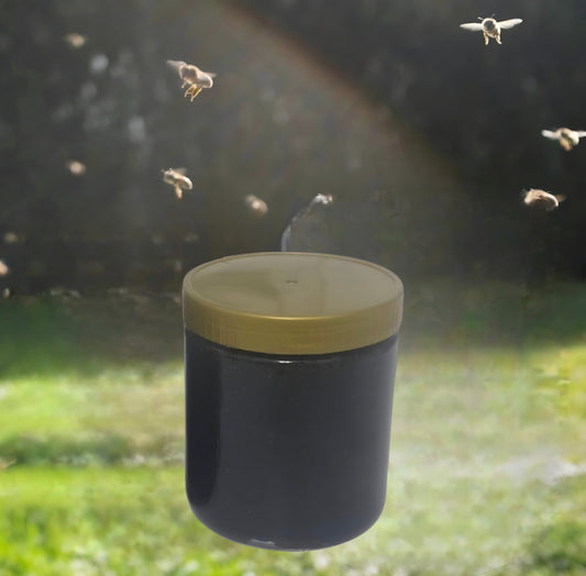 Honig - Schwarzkümmelpulver  25g pulver mit 475g Waldhonig Naturreine Kombination