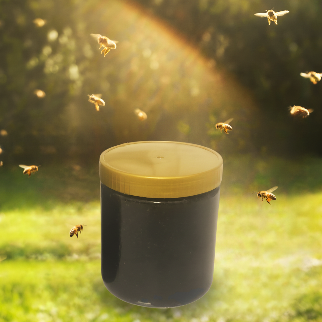 Honig - Schwarzkümmelpulver  25g pulver mit 475g Waldhonig Naturreine Kombination