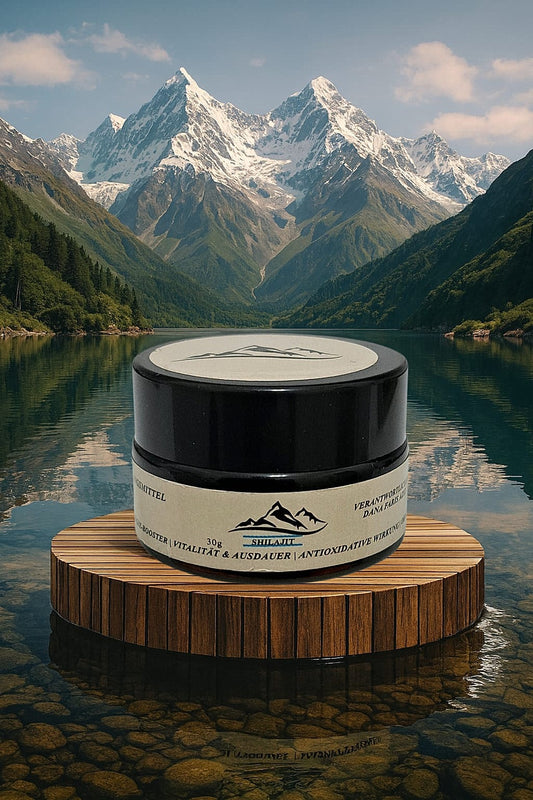 🌿 Reines Bio Shilajit aus Pakistan – 100 % Naturkraft der Berge (30g)
